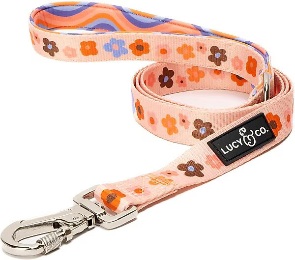 LUCY & CO. The Let's Groove Polyester Padded Handle Dog Leash, Coral, Small: 5-ft long, 0.6-in wi... | Chewy.com