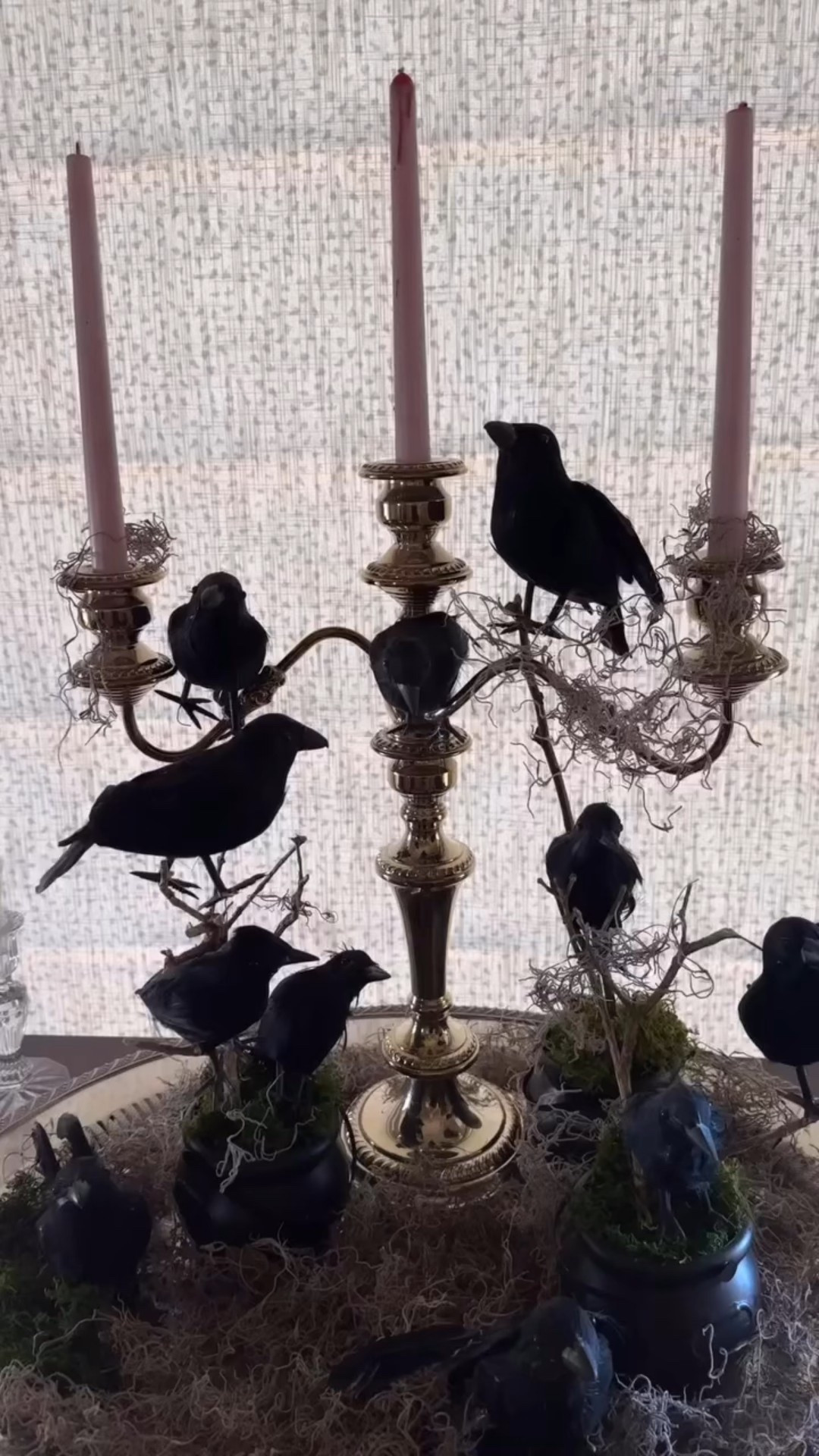🖤 Spooky season is here, and I’m leaning into the moody vibes. A few eerie touches — black crows, dripping candles, Spanish moss, and a little sterling silver sparkle — make the perfect mix of creepy + chic.
🕯️ Shop the look

#LTKHome #LTKSeasonal #LTKSpooky #LTKHalloween #LTKStyle

#LTKHome #LTKSeasonal #LTKFamily