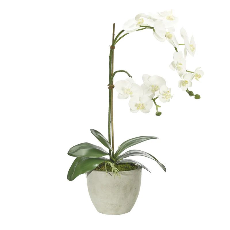 Faux Orchid Arrangement | McGee & Co.