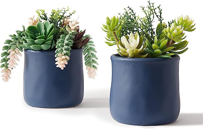 ASTRIDIA Artificial Succulent in Ceramic Pots, 2 Packs Large Faux Fake Plants Navy Blue for Desk,... | Amazon (US)