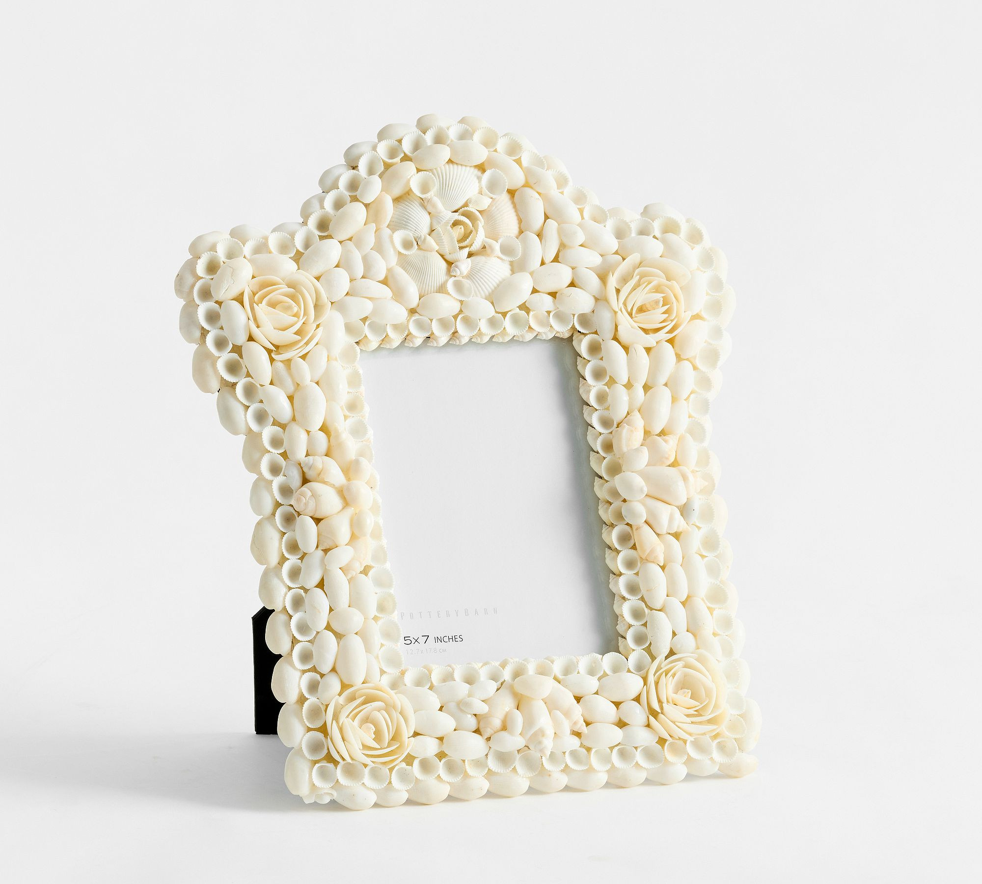 Seashell Frames | Pottery Barn (US)