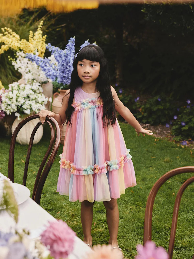 Rainbow Sleeveless Ruffle Mesh Party Dress (3-16yrs) | Next US