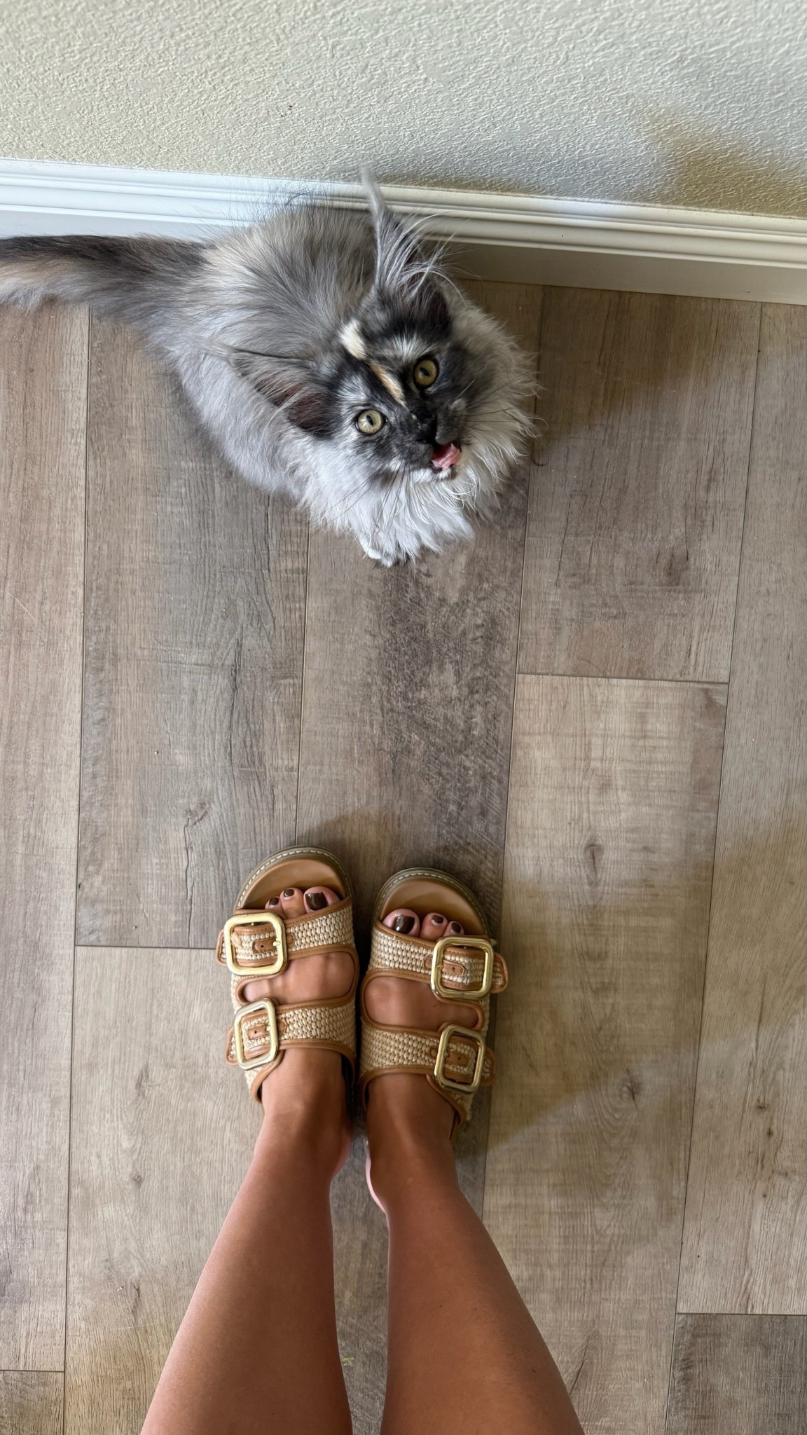 My favorite sandals this summer are on sale! 

#LTKSaleAlert #LTKSeasonal #LTKFindsUnder50