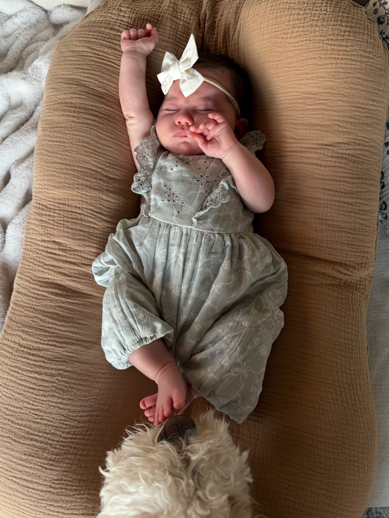Daphnes little baby jumpsuit is one of our favorite outfits so far! She’s in the newborn sizing at 2 months. Runs a little big! 

#LTKBaby #LTKKids