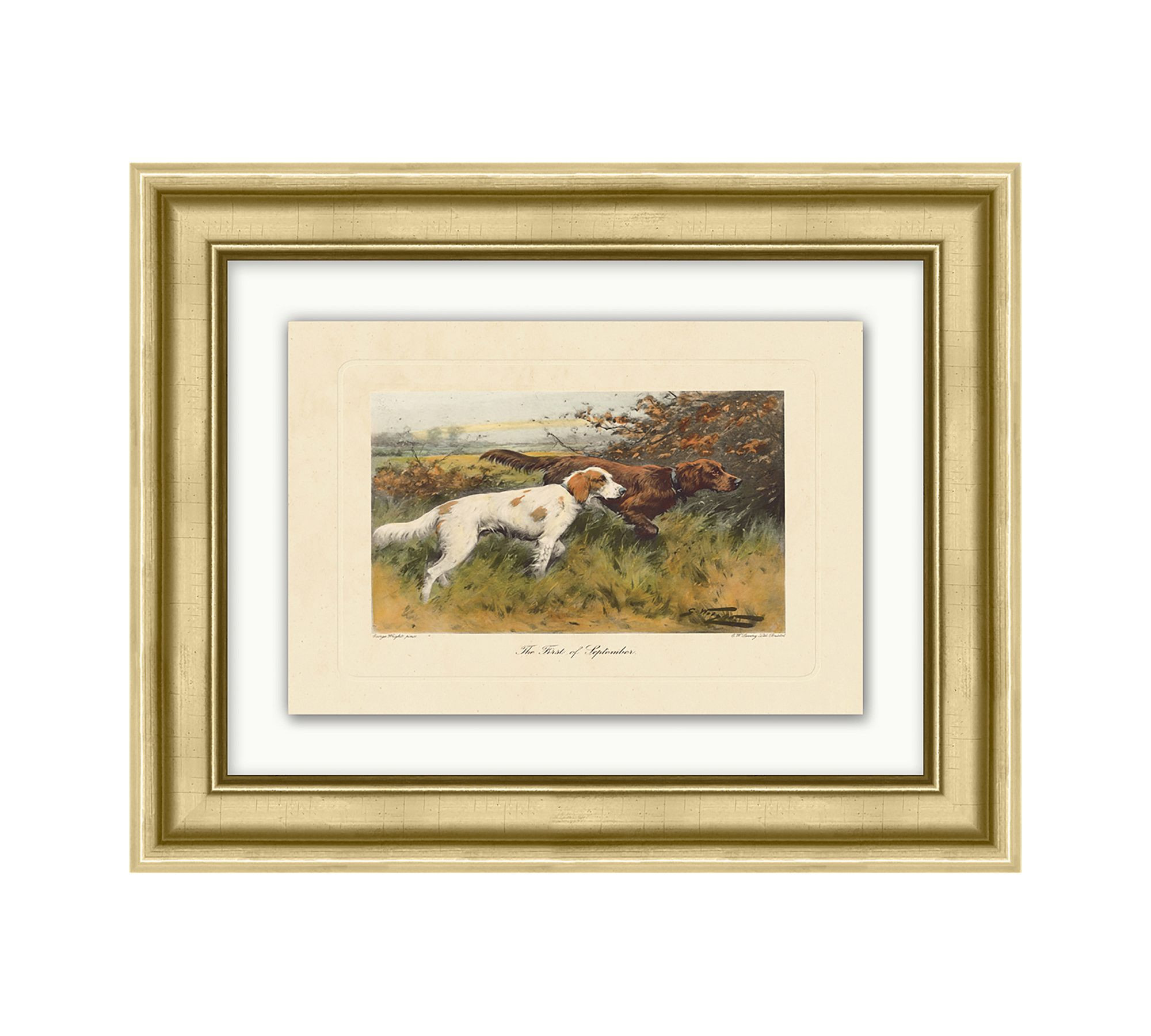 Hunting Dog Pair Framed Print | Pottery Barn (US)