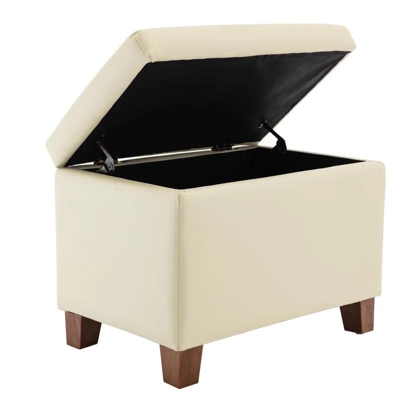 Borchert Vegan Leather Storage Ottoman | Wayfair North America