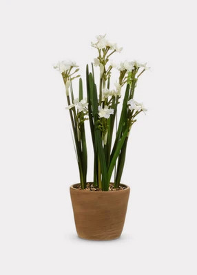 Fake Potted Paperwhite Flower Arrangement - 20" | Afloral