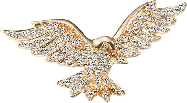 Eagle Brooch with Crystals for Men & Women | Amazon (US)