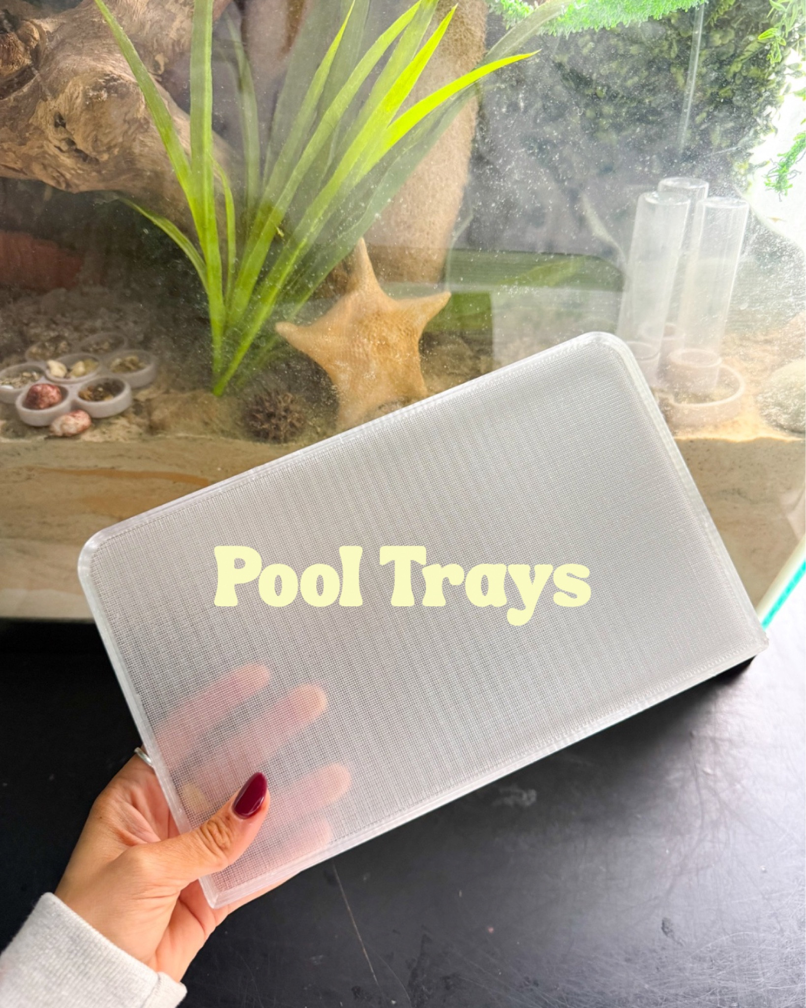 Pool trays to keep under your hermit crabs pools so substrate doesn’t get disrupted 