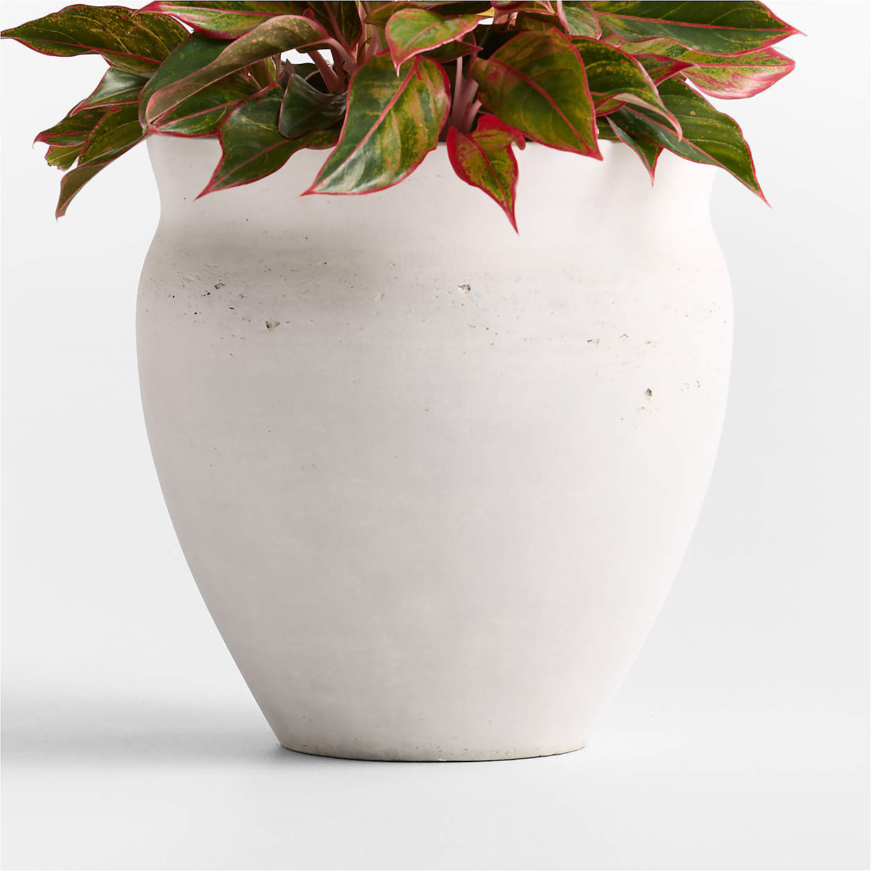 Illara 15.6" x 15.0" Ivory Indoor/Outdoor Planter + Reviews | Crate & Barrel | Crate & Barrel