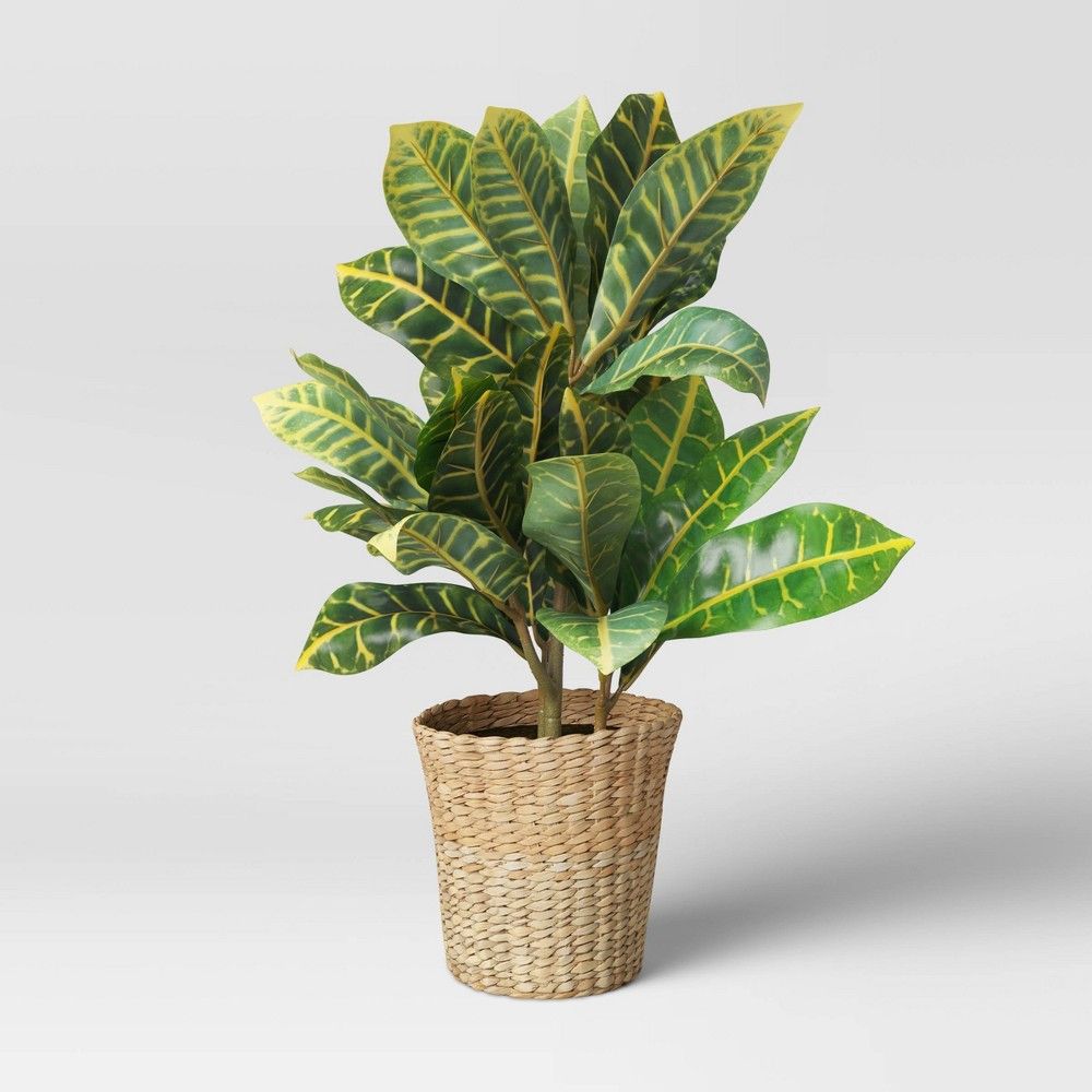 22"" x 16"" Artificial Croton Plant in Basket - Threshold | Target