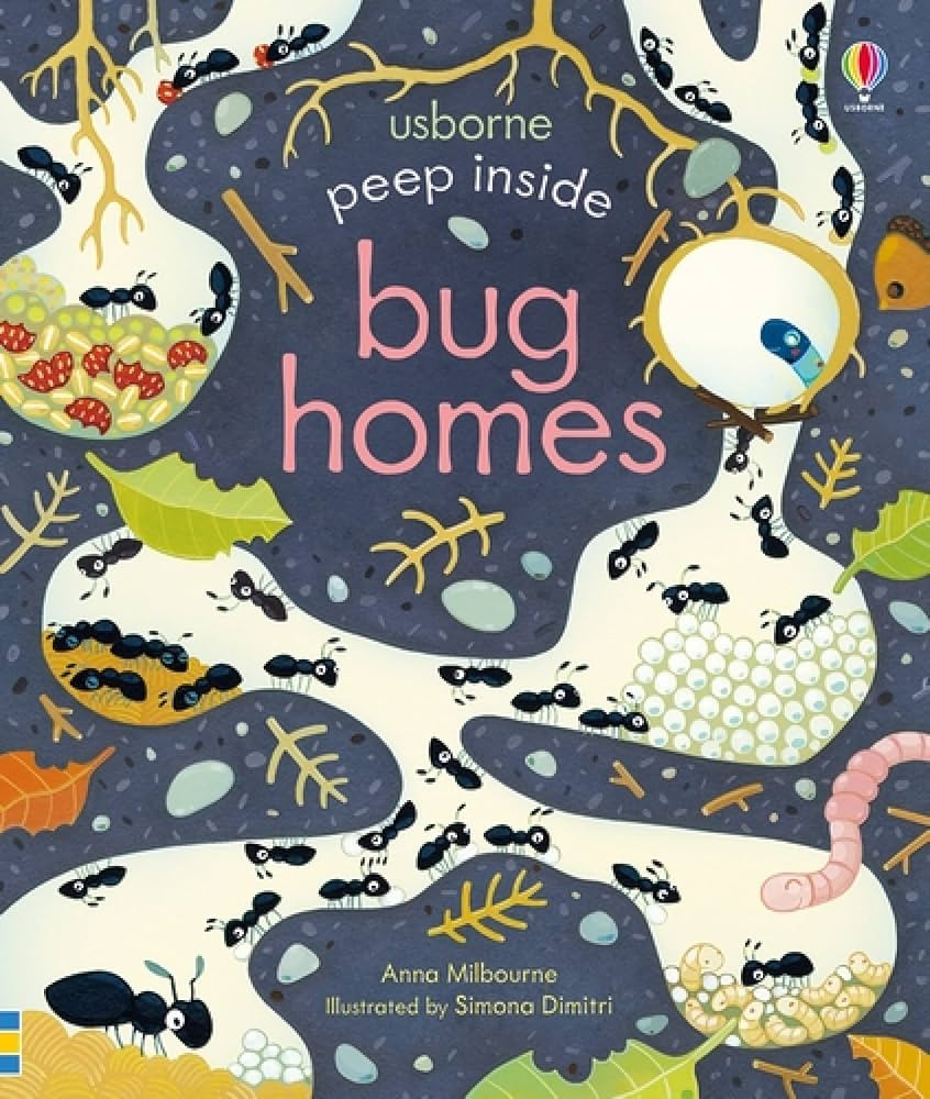 Peep Inside Bug Homes | Amazon (US)
