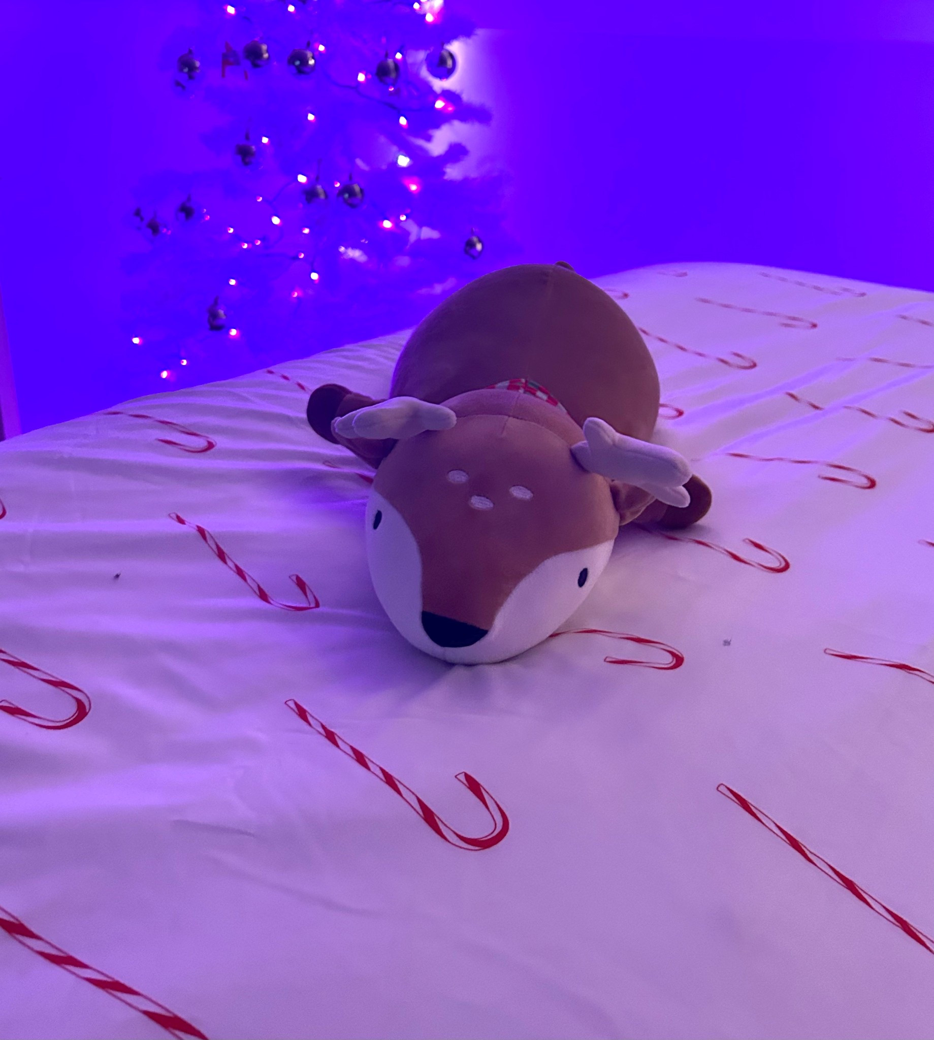My teenage daughter’s bedroom is ready for the holidays. 
Tree with lights ✔️
Candy cane duvet cover ✔️
Deer stuffed animal ✔️

#LTKmomlife #LTKHoliday #LTKKids