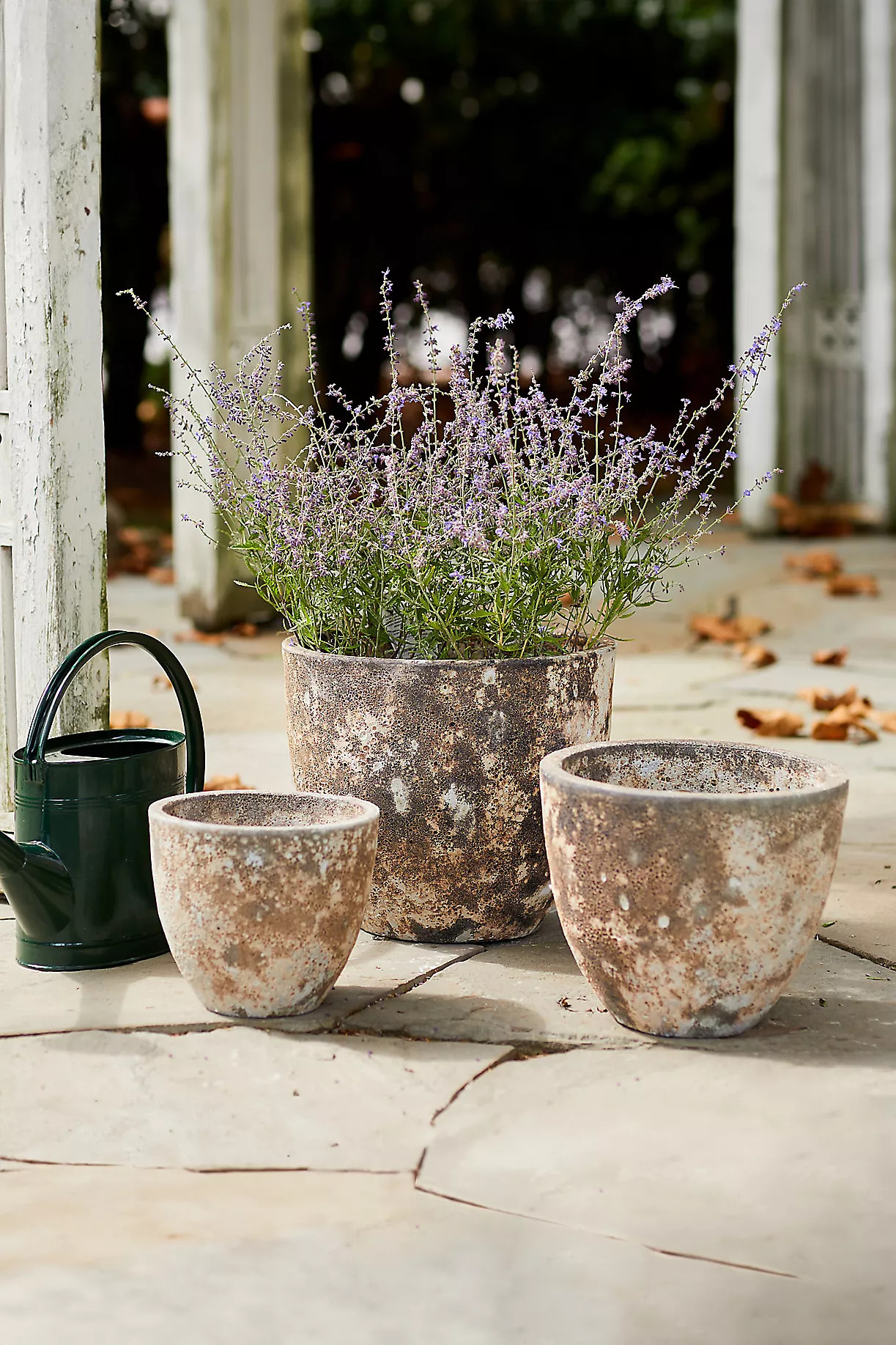 Barnacle Rounded Egg Planter, 10 | Anthropologie (US)