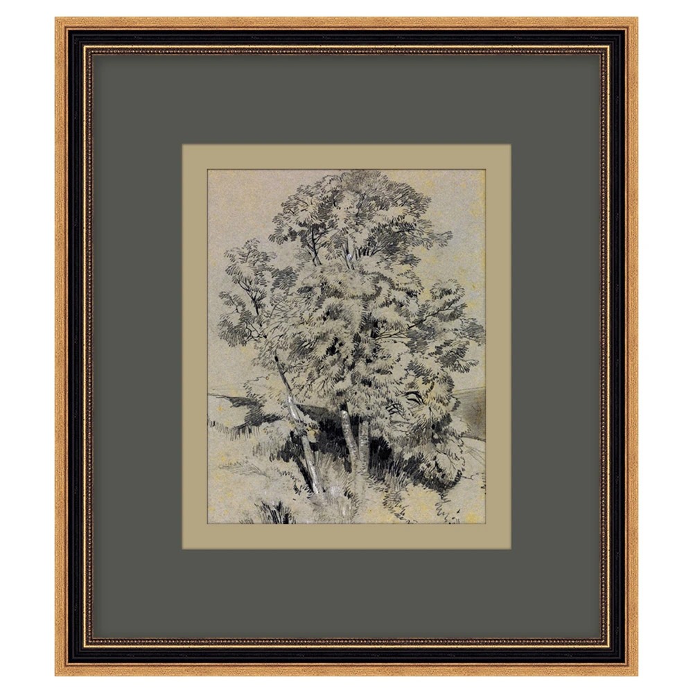 Thalina Updated Traditional Grey Nature Gold Frame Illustration - 13x12 | Kathy Kuo Home