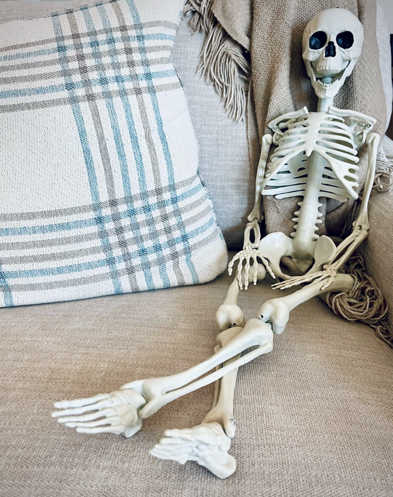 Our newest fall friend 🤍💀

#LTKHalloween #LTKSeasonal #LTKhome