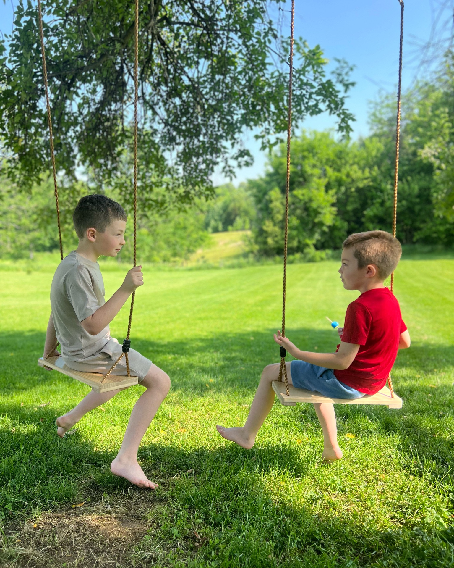 Best Summer Purchase!!! Two little wooden swings to sit under our apple tree 🩵☀️