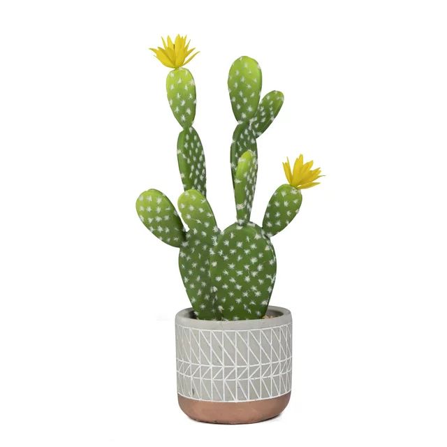 Mainstays 15.4" Artificial Cactus Succulent Plant in Cement Pot, Multicolor | Walmart (US)