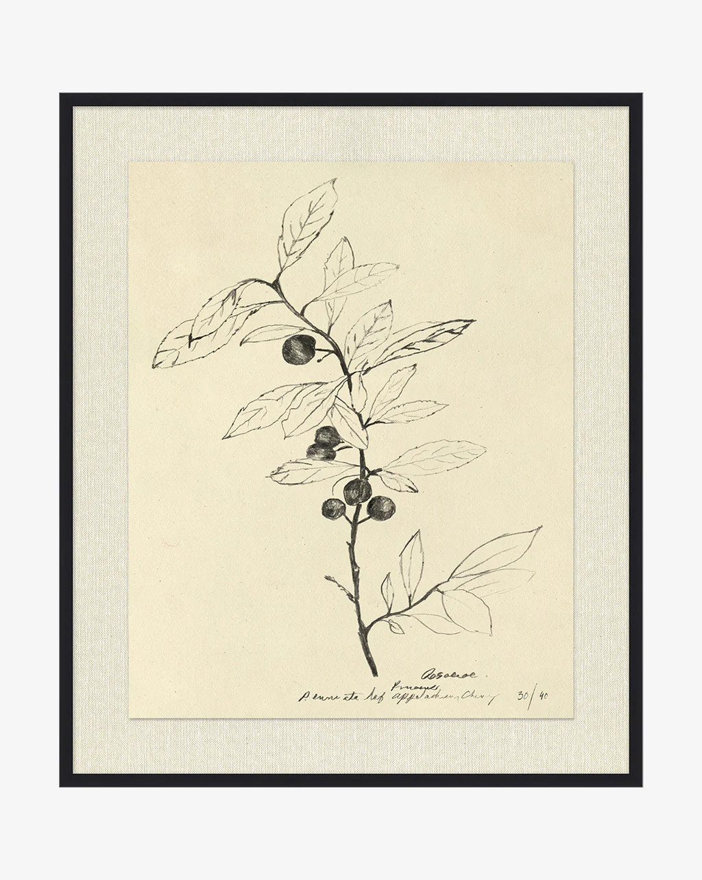 Floral Study 1 | McGee & Co.