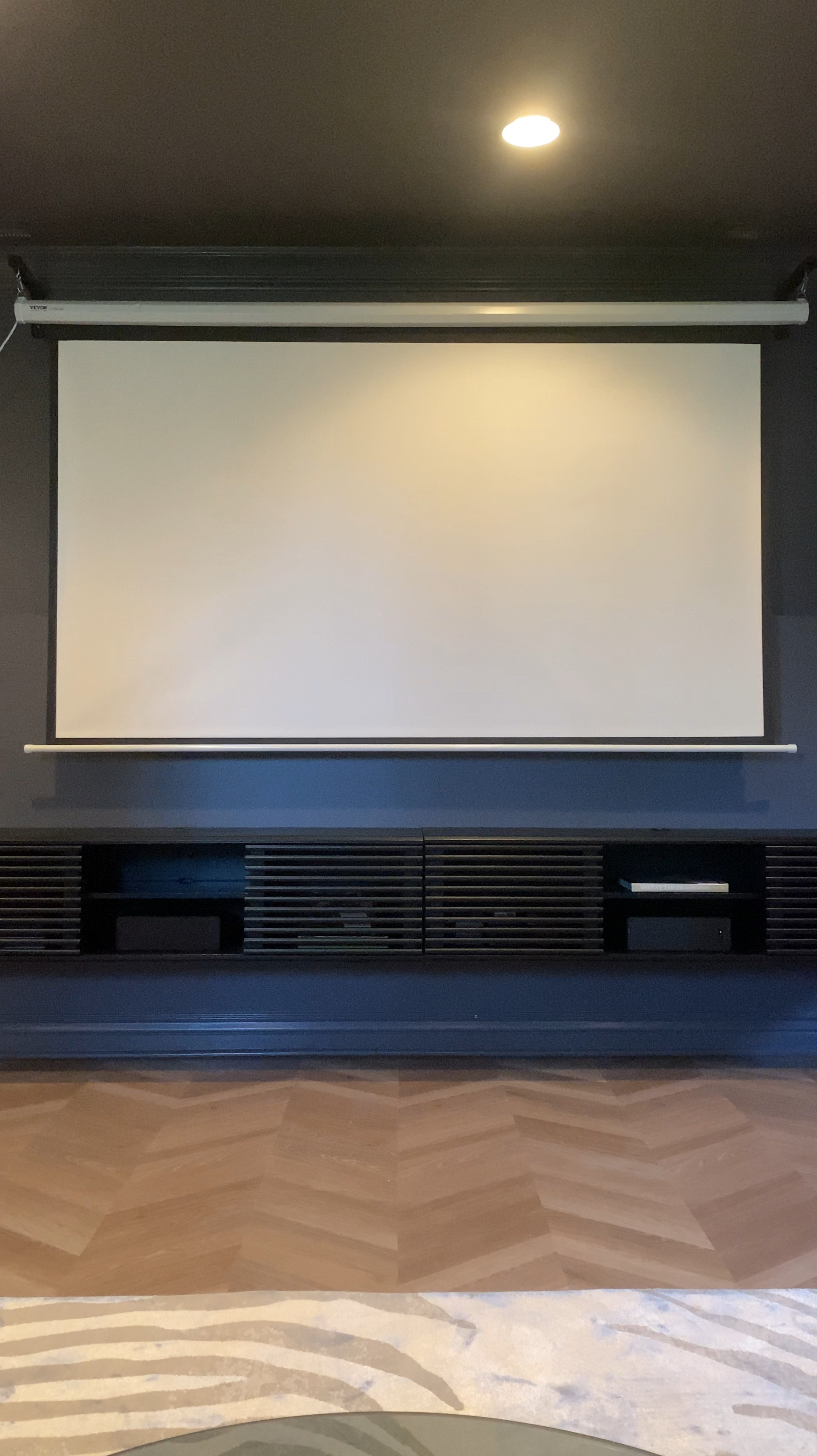Motorized projector screen and wall mounted tv console in my home movie room#LTKHome

#LTKVideo