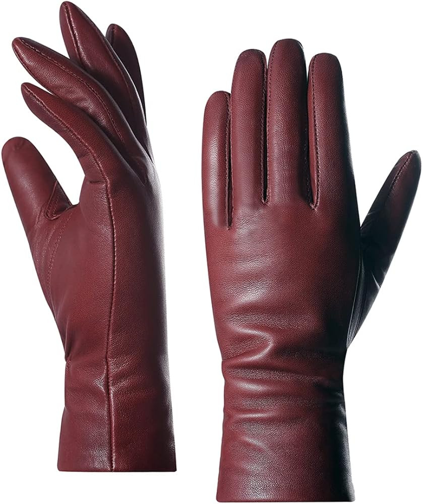 Harssidanzar Women's Nappa Lambskin Genuine Soft Leather Lined Cashmere Gloves GL006 | Amazon (US)