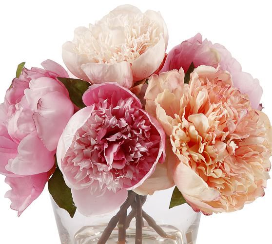Faux Peony in Glass Vase | Pottery Barn (US)