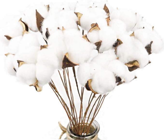 CEWOR 20 Pack Really Natural White Cotton Stems Dried Flower Branch for Farmhouse Style Antique F... | Amazon (US)