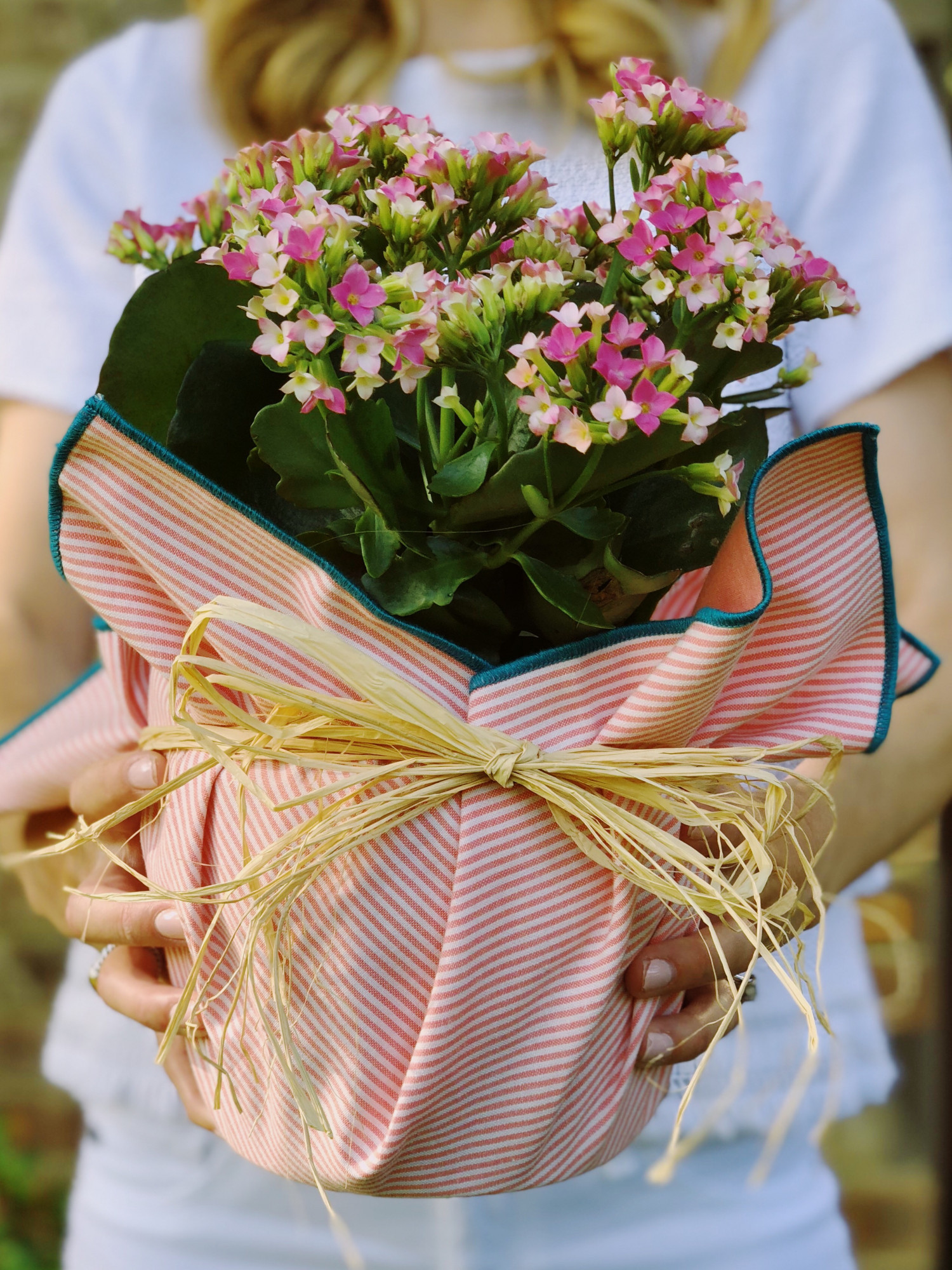 Teacher appreciation gift ideas! May 4 is teacher appreciation day! More on DoSayGive.com  

 

#LTKSeasonal #LTKHome #LTKSaleAlert