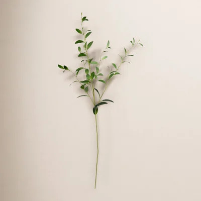 Roni Leaf Spray | Wayfair North America