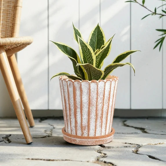 My Texas House 8" Shell Planter Terra, High-Quality Ceramic Pot, 8.1" Diameter x 8.5" Height, Uni... | Walmart (US)
