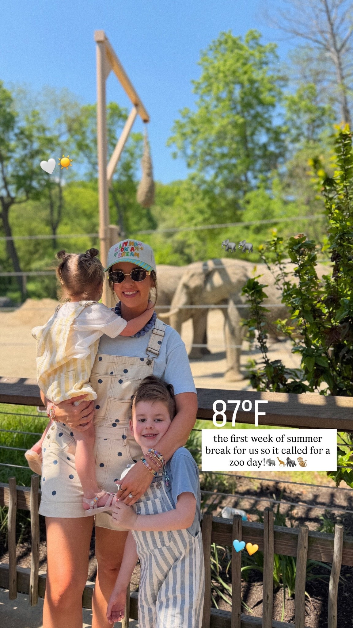 the first week of summer break for us so it called for a zoo day!🐘🦒🦍🐒 🐘🐘 🤍☀️ 🩵💛