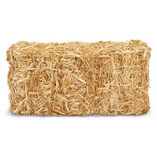 13" Decorative Straw Bale by Ashland® | Michaels Stores