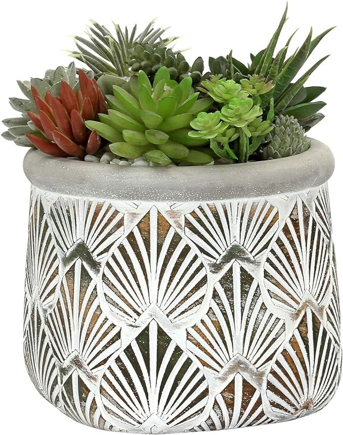 MyGift 6 Inch Art Deco Gray Cement Cylindrical Succulent Planter Pot with Embossed Fan Palm Leaf ... | Amazon (US)