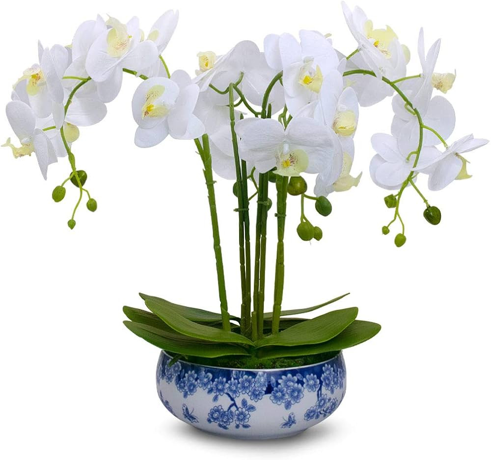 Dahlia Realistic Flower Arrangement in Blue and White Porcelain Pot, 24 Phalaenopsis Orchids, Wh... | Amazon (US)