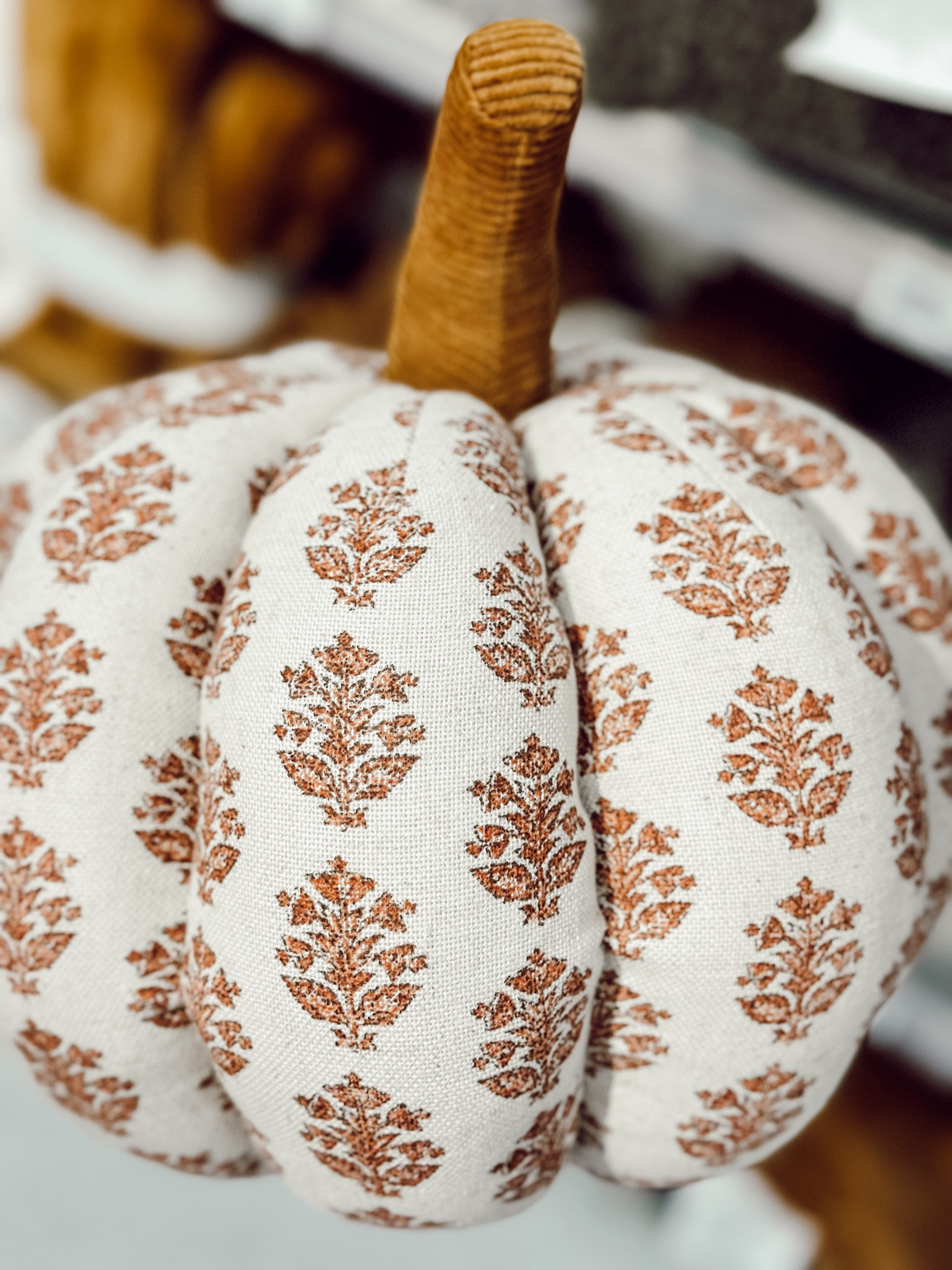 This block print pumpkin pillow is so much cuter in person! 

#LTKSeasonal #LTKFindsUnder50 #LTKHome