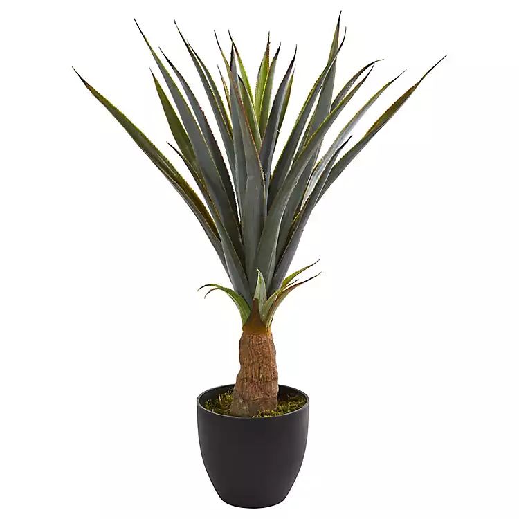 Agave in Planter, 30 in. | Kirkland's Home