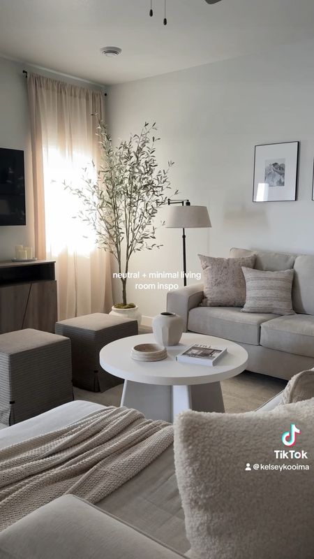 Neutral and minimal living room decor 🤍

#LTKfindsunder50 #LTKhome #LTKfindsunder100