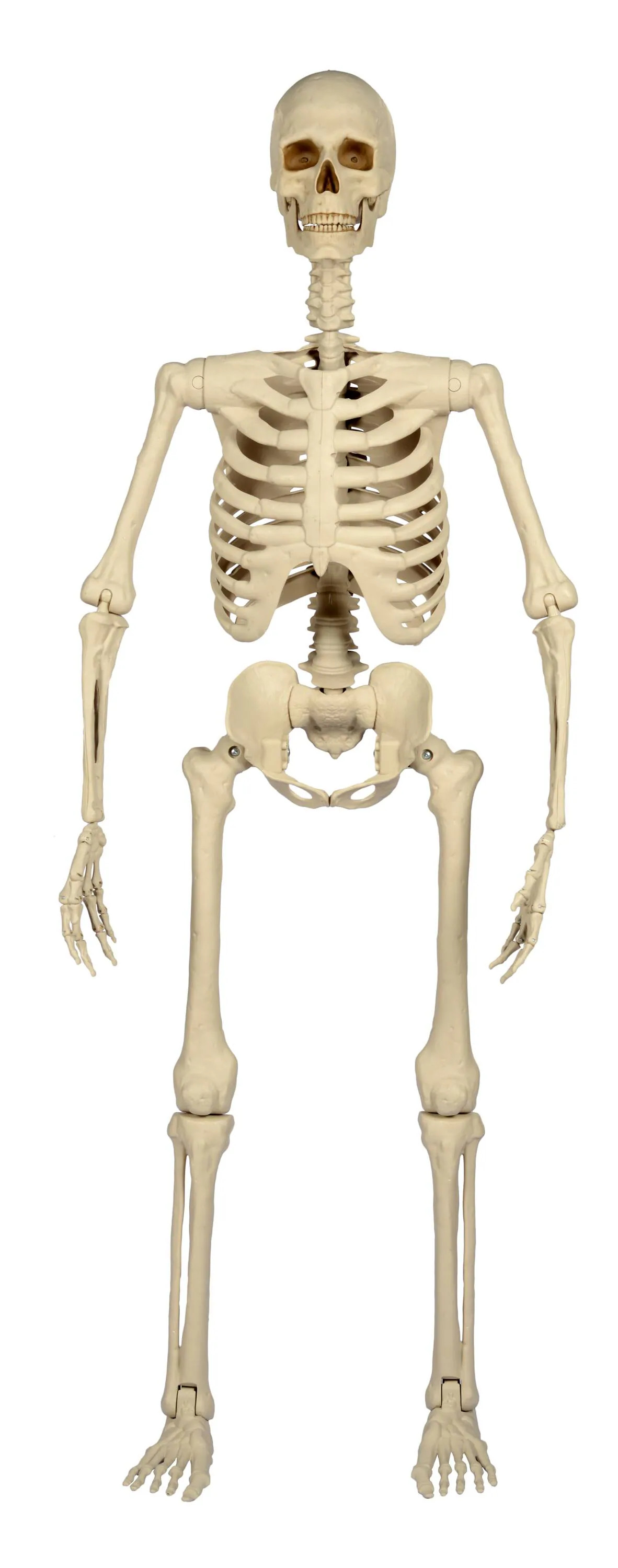 Haunted Living 59.84-in Hanging Lighted Skeleton Door decoration Sculpture one_size in Gray | KL-37031C | Lowe's