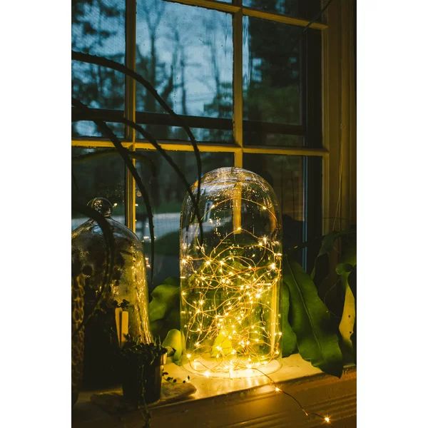 16 ft. 50-Light Fairy String Light | Wayfair North America
