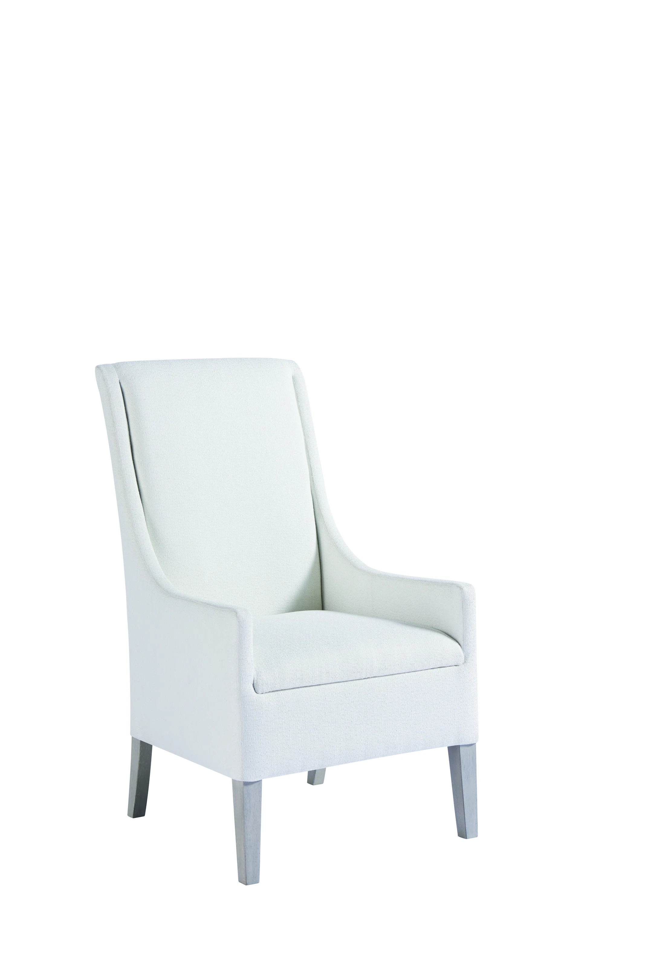 Agastya Arm Chair in White | Wayfair Professional