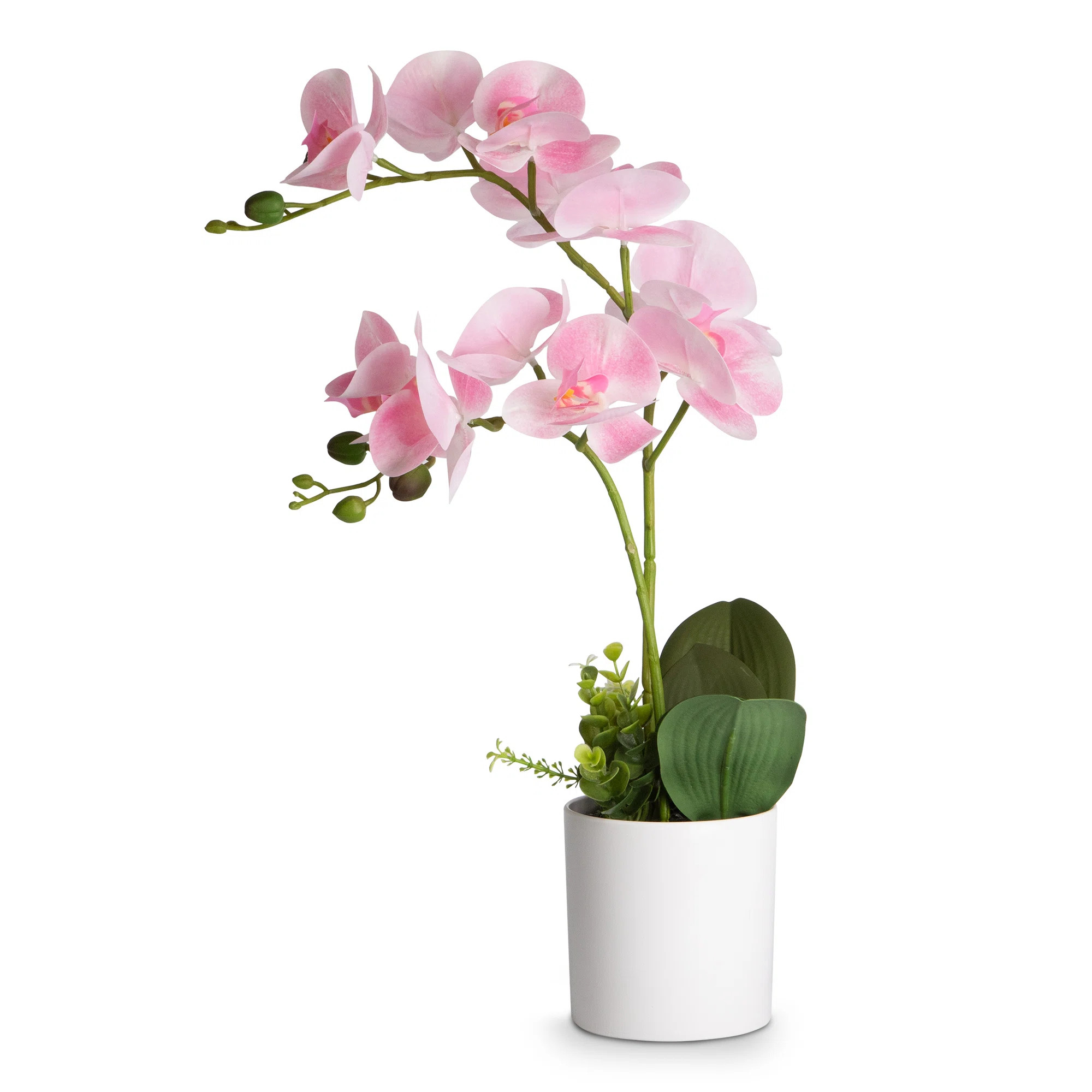 Silk Orchid Arrangement In Pot | Wayfair North America