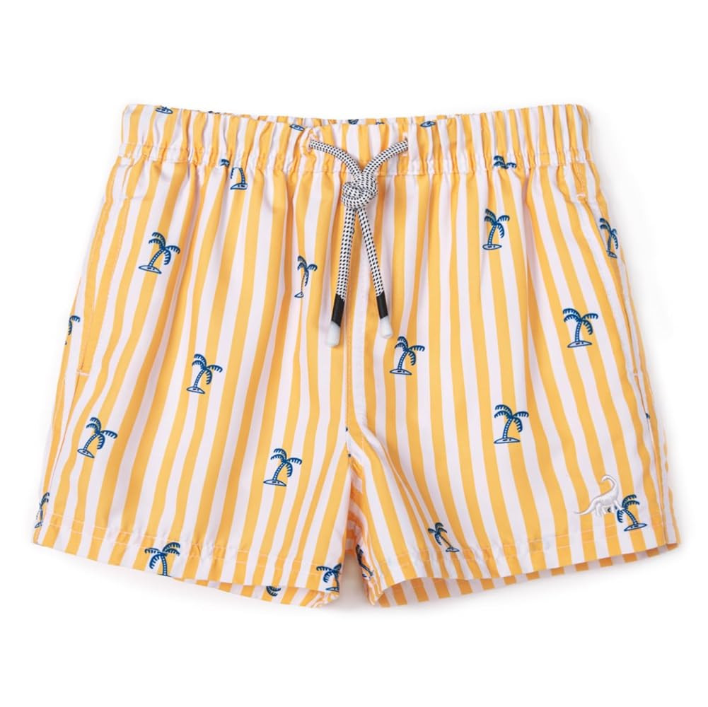 SURF CUZ Boys Swim Trunks Toddler Swim Shorts UPF 50+ Bathing Suit for Boy Swimsuit Quick Dry Mes... | Amazon (US)