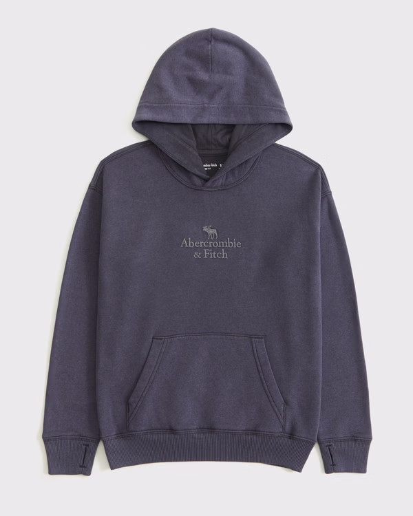 logo popover hoodie | Abercrombie & Fitch (US)