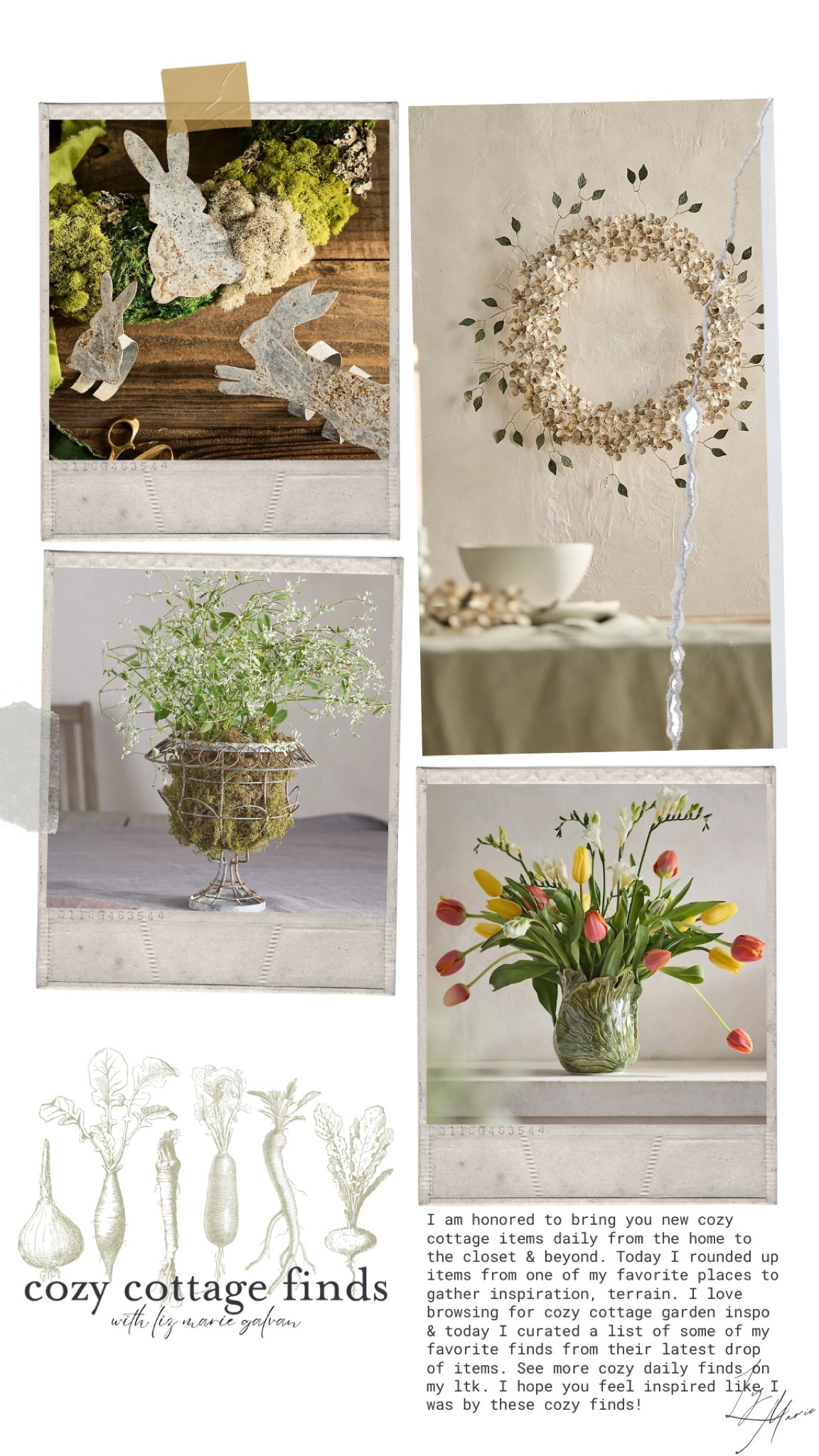 Cozy Spring finds from Anthro. 

#LTKSeasonal #LTKSpringSale #LTKhome