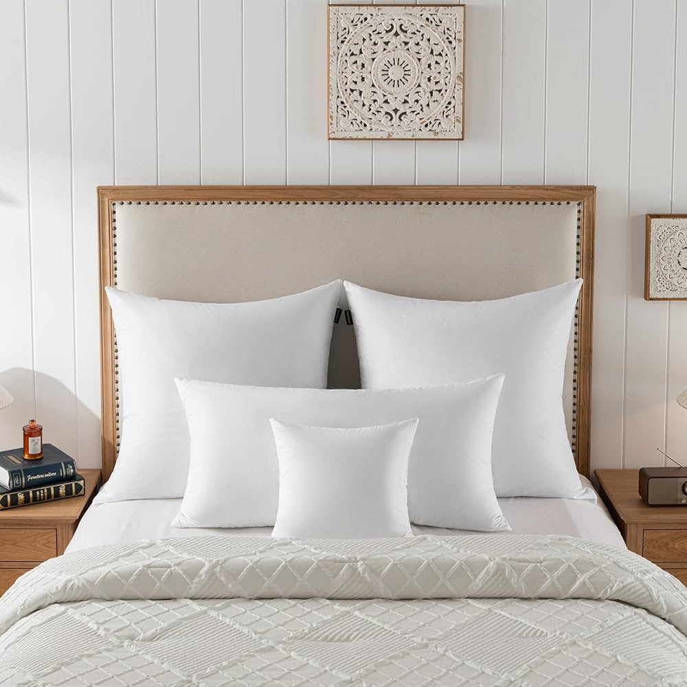 basic home® Hotel-Style Goose Feather Down Euro Pillow Insert for Sofa & Bed - 100% Odorless & P... | Amazon (US)