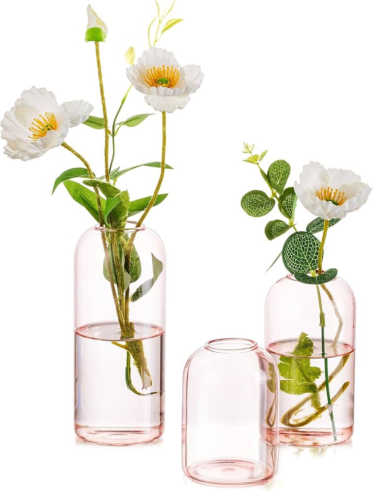 Glass Bud Vases for Flowers - Hewory Blown Modern Small Glass Vases for Centerpieces Set of 3, Mi... | Amazon (US)