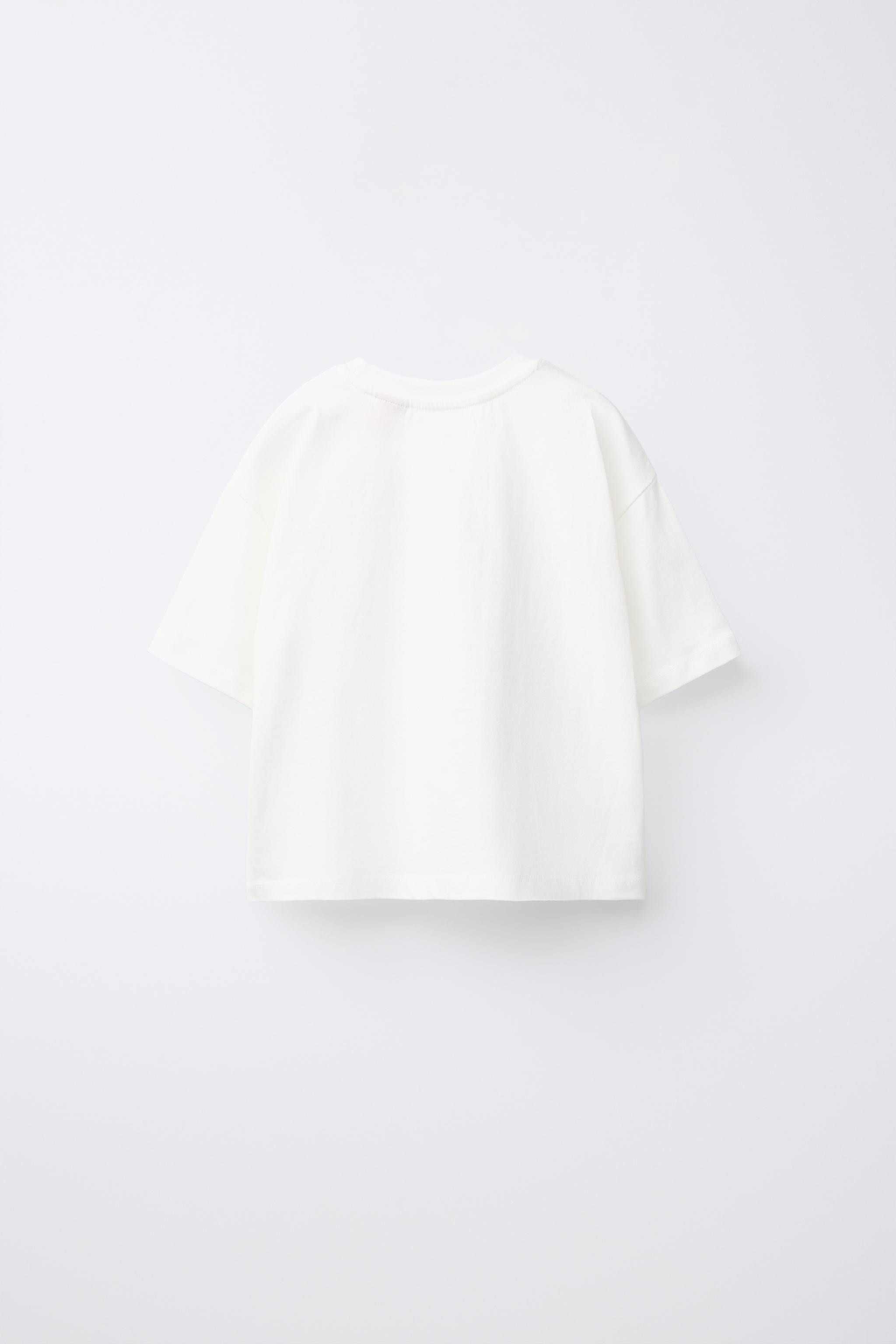 CHIIKAWA @NAGANO T-SHIRT | Zara UK
