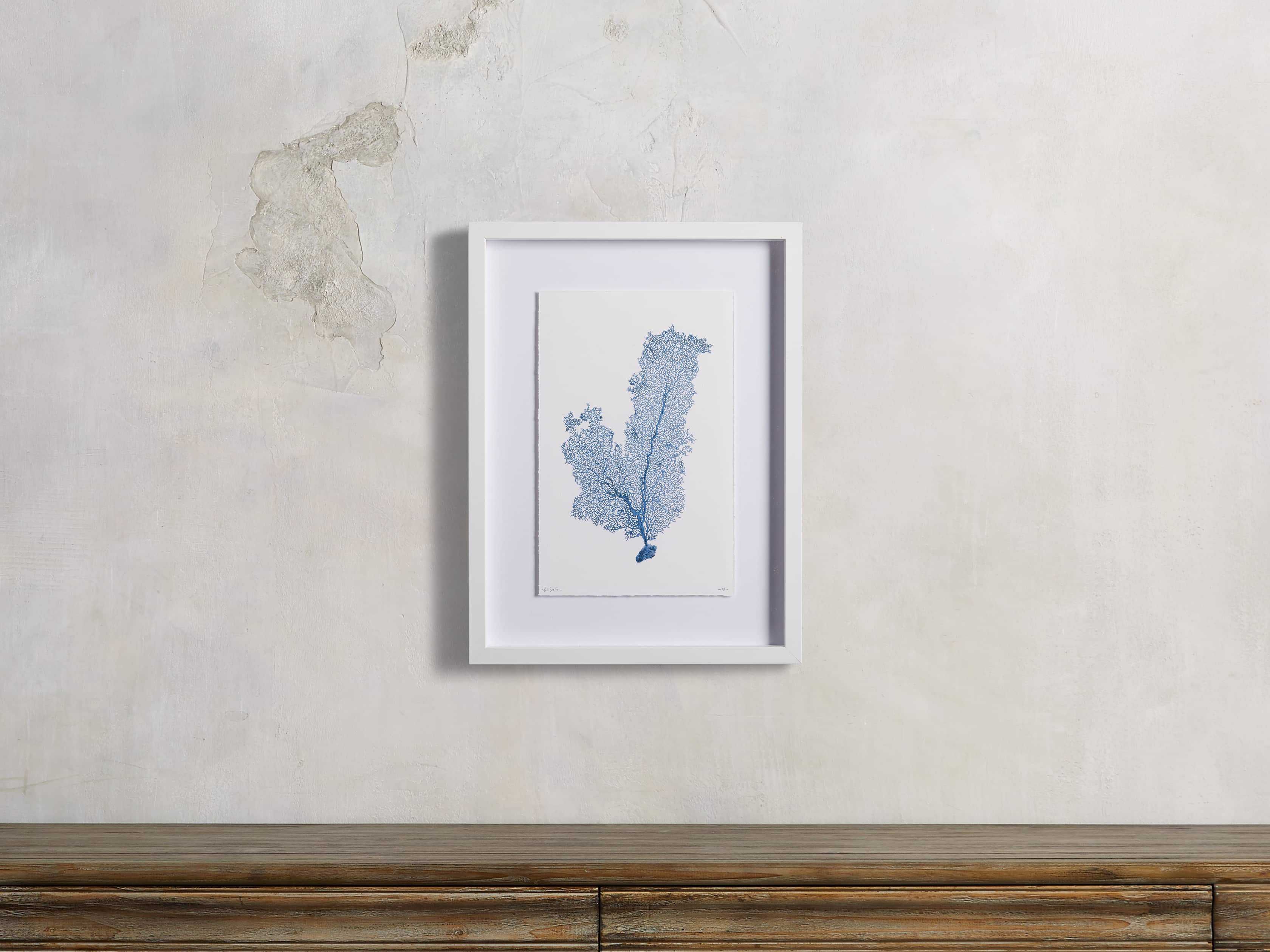 Blue Sea Fan III | Arhaus