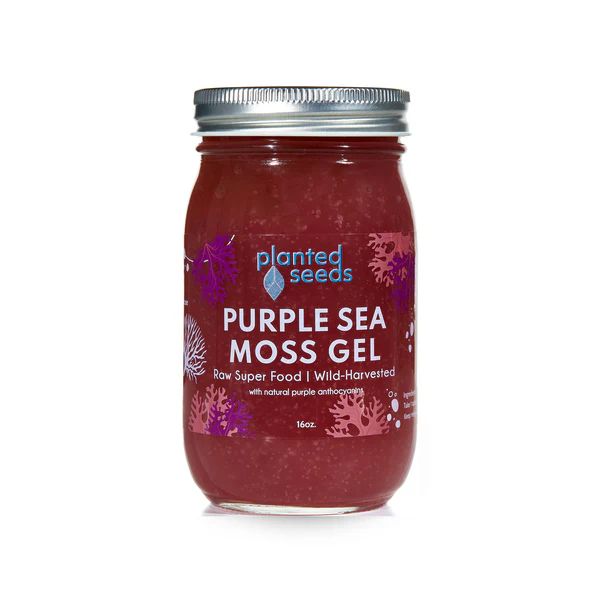 Purple Sea Moss Gel - 16oz Jar | Planted Seeds