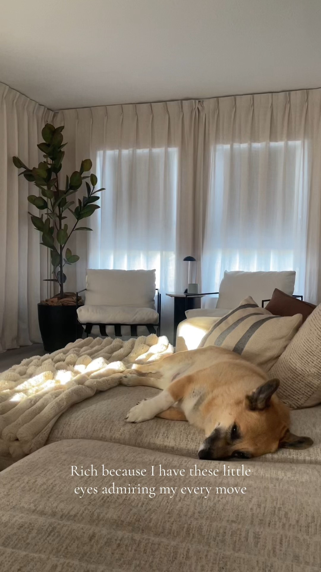 #LTKHome #LTKSaleAlert #LTKFindsUnder50